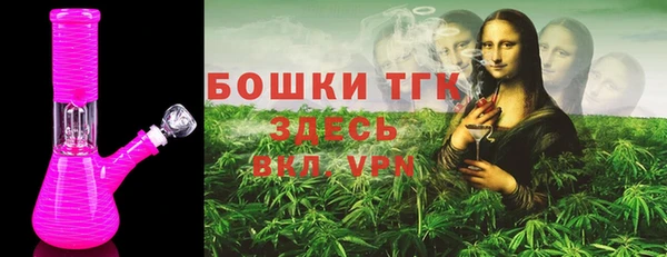 шишки Армянск