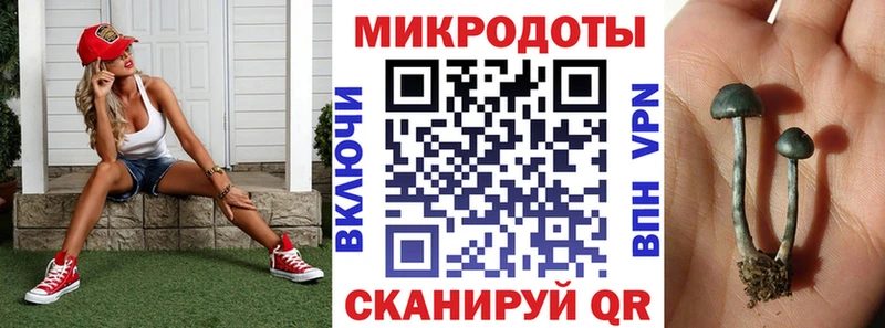 блэк спрут зеркало  купить наркотики сайты  Талица  Галлюциногенные грибы Cubensis 