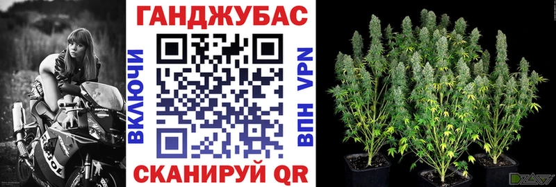 Каннабис индика Талица